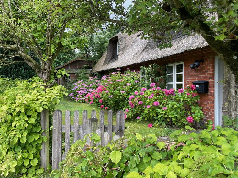 Traumhaftes Ein- / Zweifamilienhaus mit parkähnlichem Garten (Schleswig-Holstein)